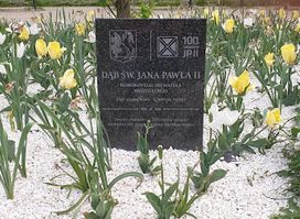 Dąb Św. Jana Pawła II