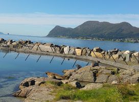 Atlantic Sea-Park