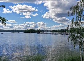 Riihisaari – Savonlinnan museo, Savonlinna Museum