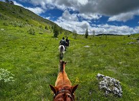 Wild Beauty Adventure