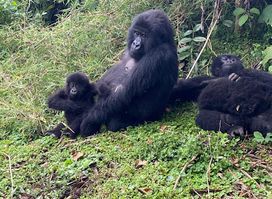 Wild Hikes Rwanda
