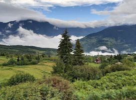 გომარდულის ზენ ბაღი / Gomarduli Zen Garden