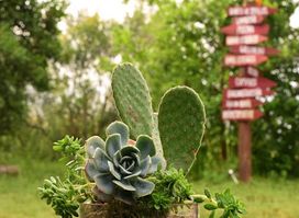 Ñangapiré Posada de Campo