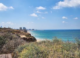 אפולוניה