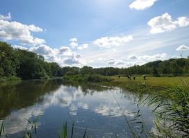 Estate Oostbroek