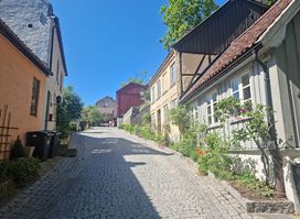 Damstredet and Telthusbakken