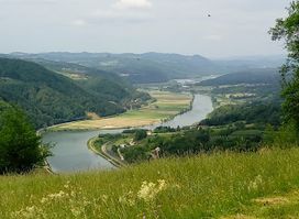 Cerkev Sv. Mohorja