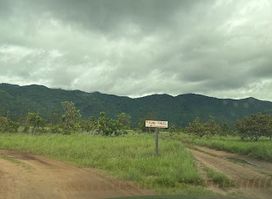 Kumu
