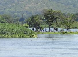 The French Restaurant & Boat Ride-Jinja-Uganda