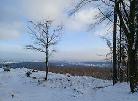 Heidetränk-Oppidum