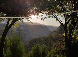 Sequoia Guesthouse