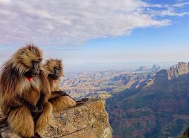 Simien trekking Tours