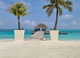 Nest @ Niyama Private Islands Maldives