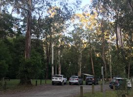 Sheoak Picnic Area