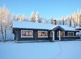 Sjumilskogen AS