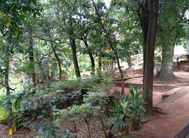 Ykua La Patria Park