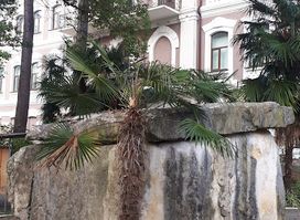 Abkhazian state museum