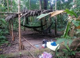 Amazon jungle tours Colombia into the wild