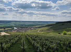 Champagne Tour Co