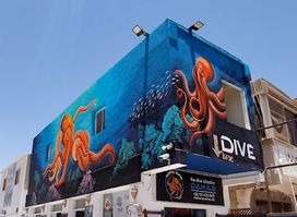 My - Hostel in Dahab / Dive Club