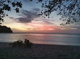 Rocky's Beach Bar