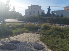 Japanese Park