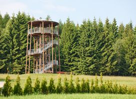 Lookout tower - Oberbärenburg