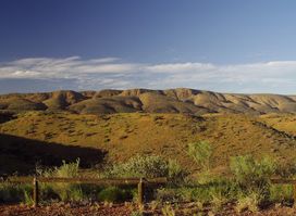 Neil Hargrave Lookout