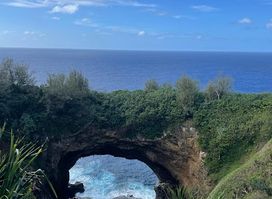 Kiko's Swim With Whales Tours