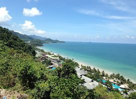 View point