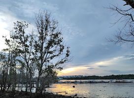 Viewing Sunset