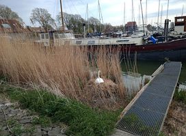 Jachthaven De Noordvaarder