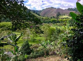 Finca De Don Elias