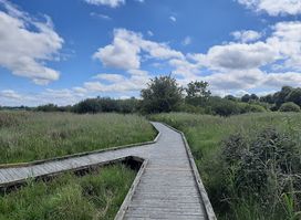 Pollardstown Fen