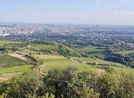 Kahlenberg