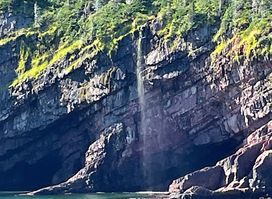 Gatherall's Puffin & Whale Watch