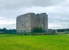 Woodstock Castle