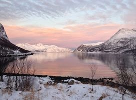 Polar Adventures Tromso - Northern Lights