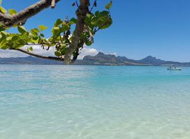 Sud Tropical