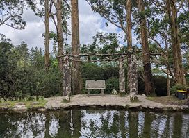 Square Trees Nature Trail (Arboles Cuadrados)