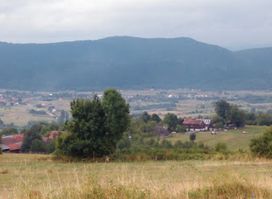 Jurkovi