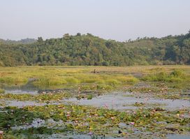 Ah Baung Taw Moat/Lake