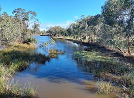 Dunkeld Arboretum