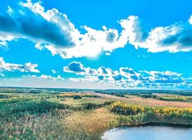 Alutaguse rahvuspark ja Imatu järv – Eesti ainsad mandriluited e kriivad