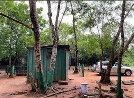 Achimota Forest