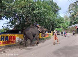 Hairpin Curve Varkala