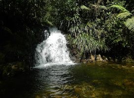Ranchitos del Quetzal