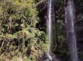 Twin Falls