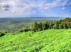 Mini Ooty