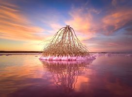 Sea Lake Tyrrell Tours